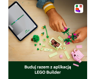 LEGO BOTANICALS 11506 Bujające się roślinki - 1517894 - zdjęcie 9